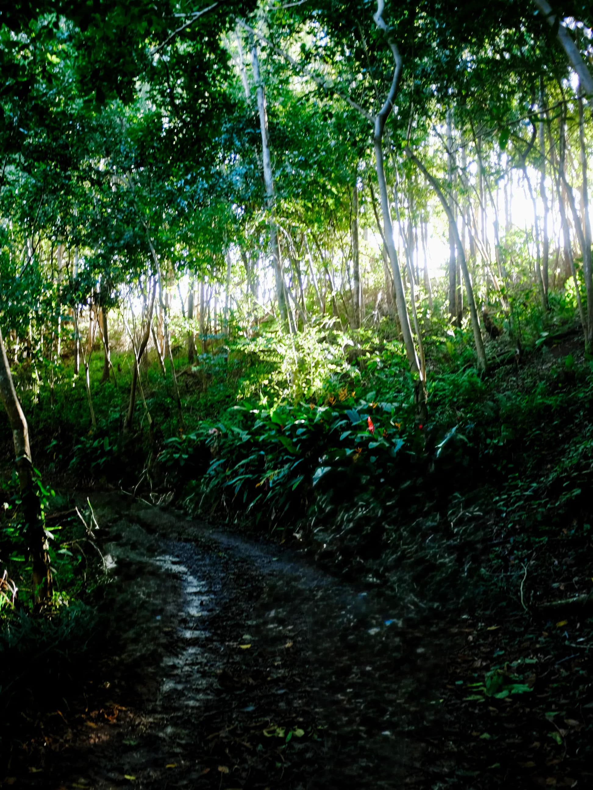 Coffee cup from above